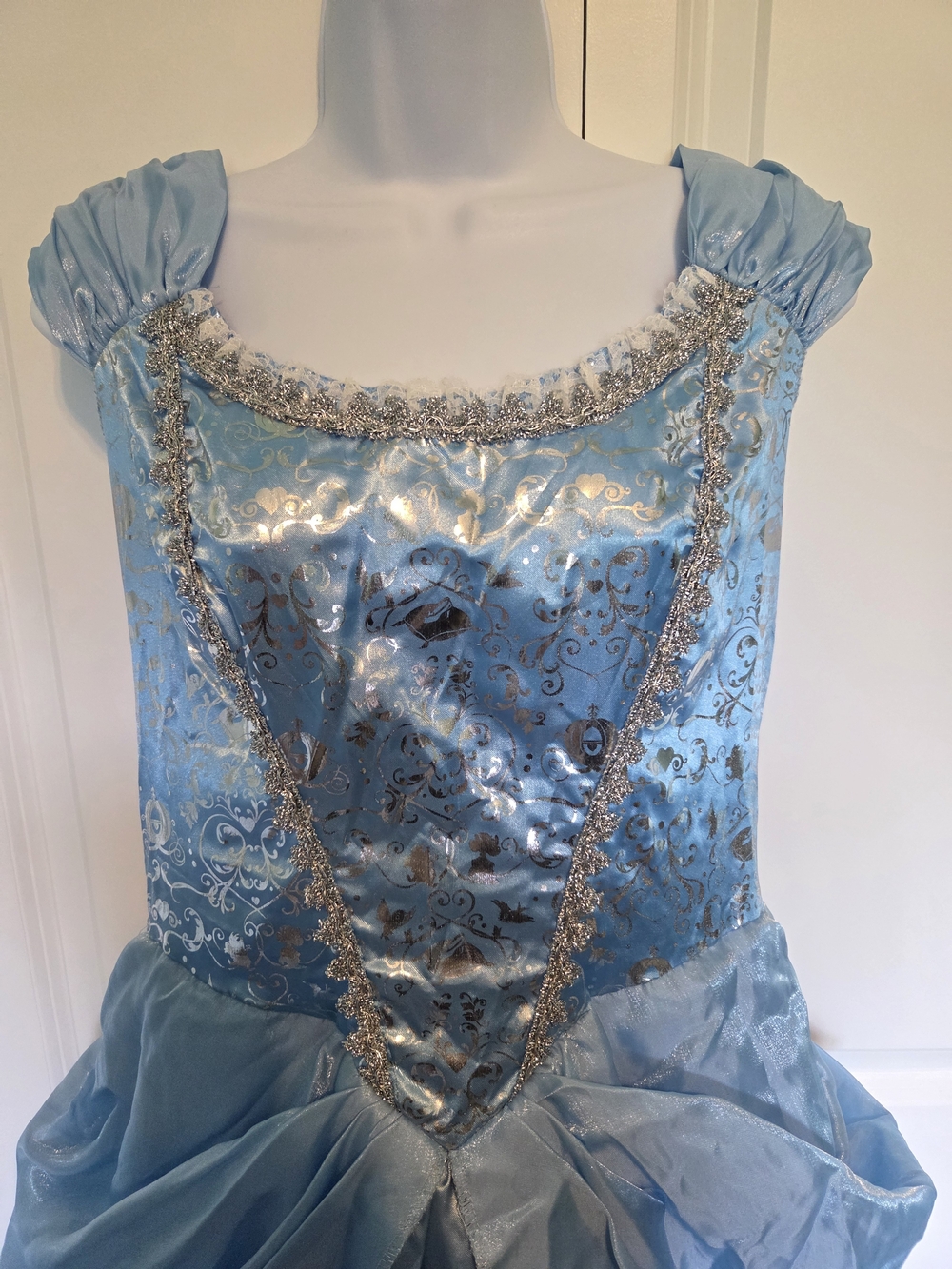 Women's Cinderella Princess Costume Dress - Picture 3 of 8